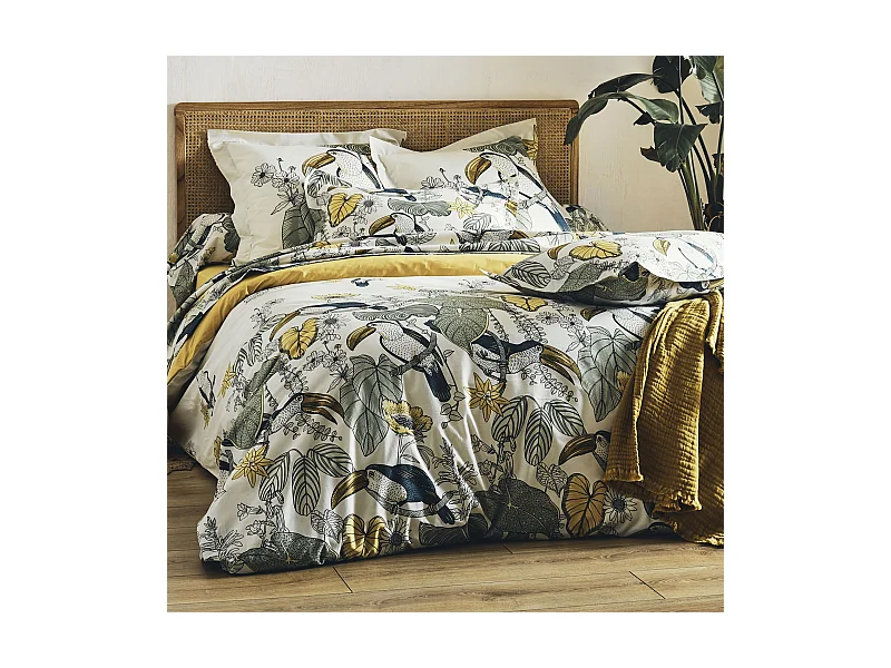 Ensemble drap plat et 2 taie Toco