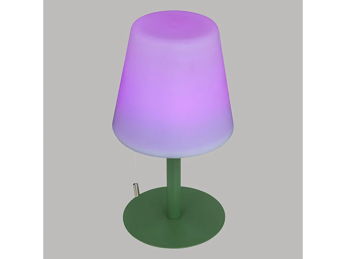 Lampe à Poser d'Extérieur "Zack" 30cm Vert Olive