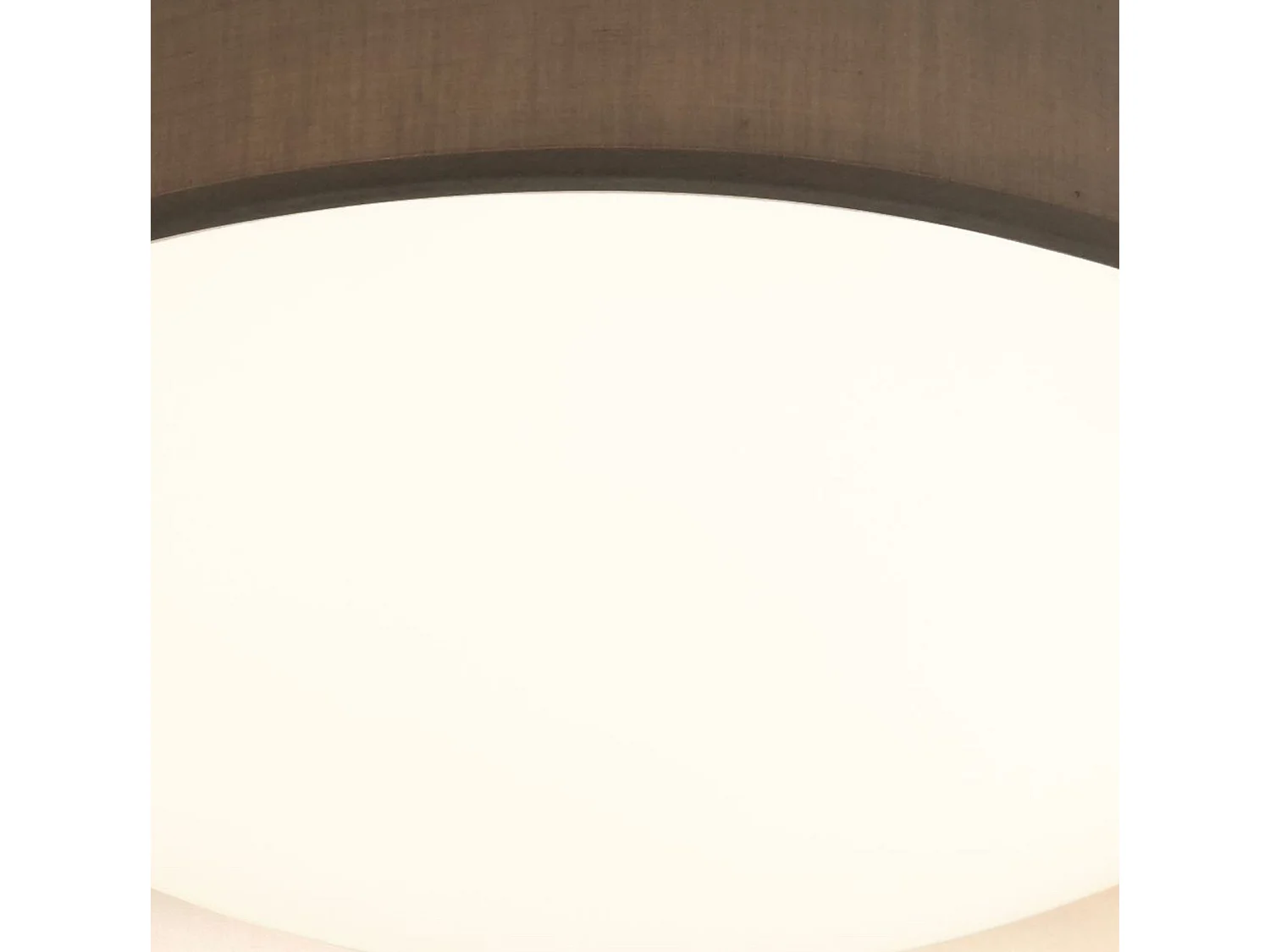 Searchlicht Gianna - Integrierte LED 1 licht Flush Deckenleuchte Weiß, Grau