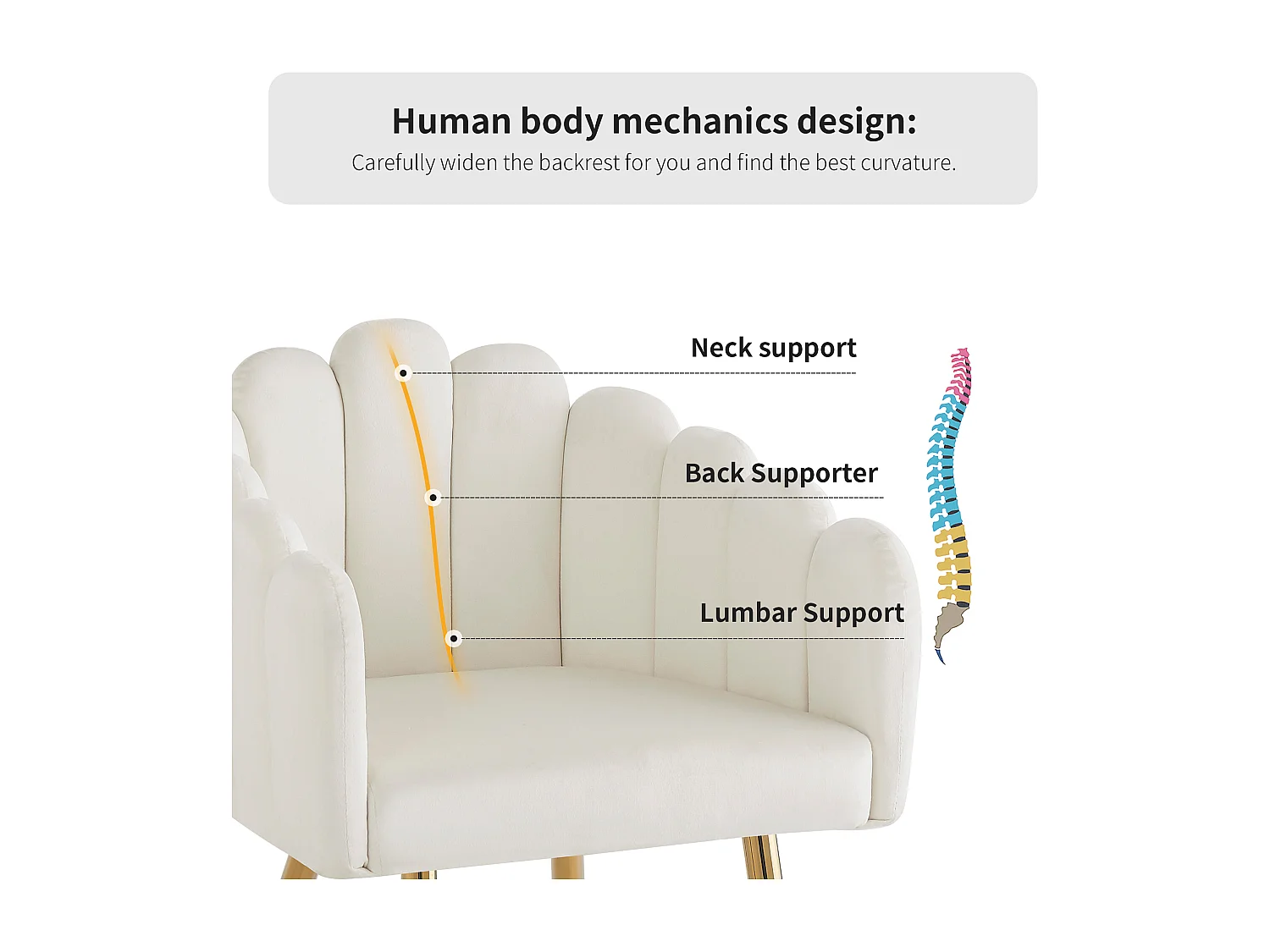 Lot de 6 chaises en velours - dossier en forme d'éventail - cadre en fer plaqué or - Blanc & Doré