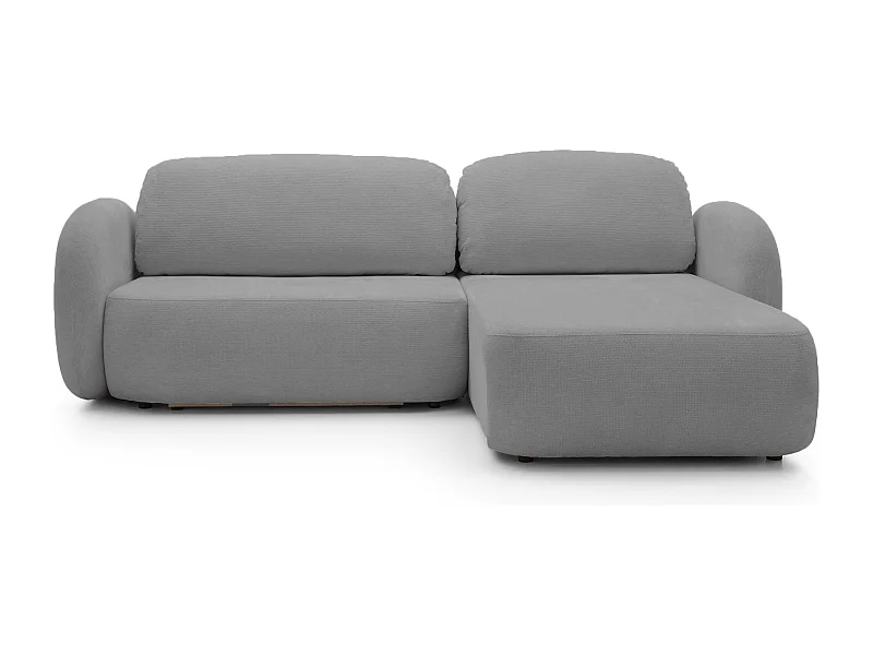 Canapé d'Angle OLIO L-Form avec Lit 138x210cm Coffre et Coussins Amovibles – Droite 248x174x86cm ARGENT FONCÉ