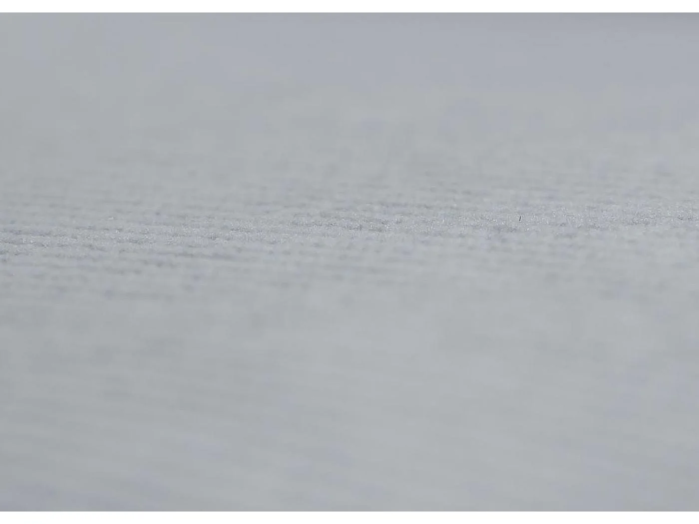 Cadeira de jantar MCW-A50 II (conjunto de 6),  cinzento claro