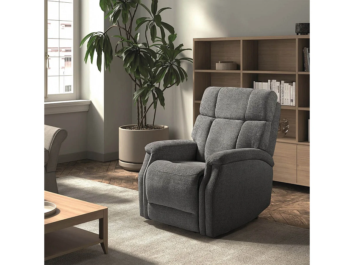 LINARES - Fauteuil Relax Releveur Electrique Tissu Gris foncé