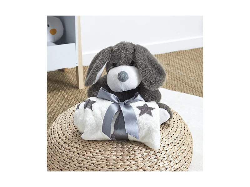 Peluche Chien 20cm Plaid 70x70cm Gris