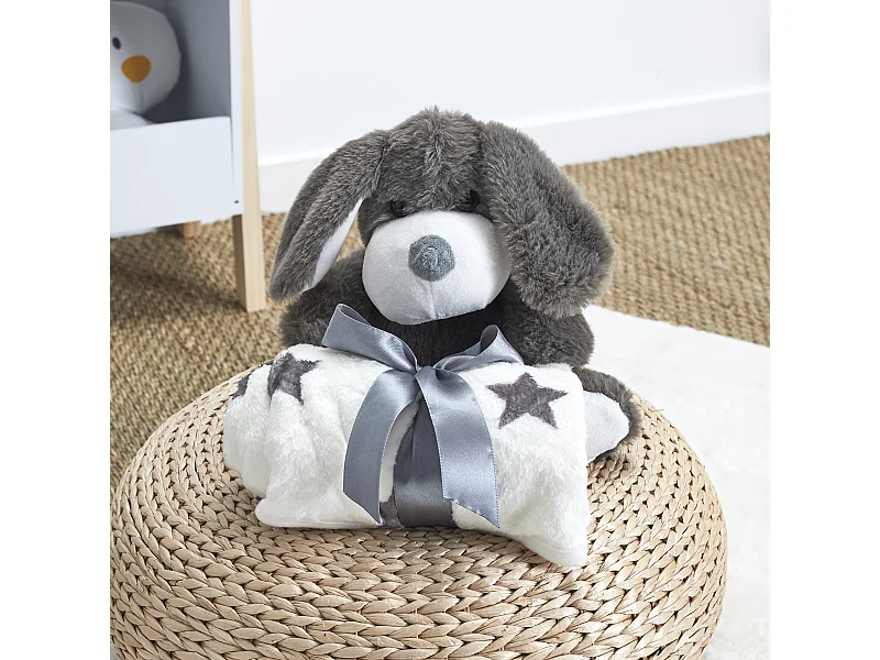 Peluche Chien 20cm Plaid 70x70cm Gris
