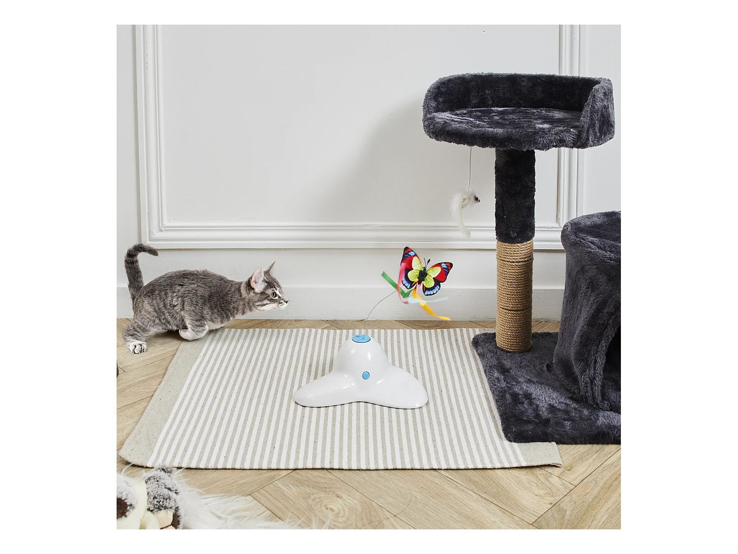 Jeu Papillon Interactif Pour Chat Blanc