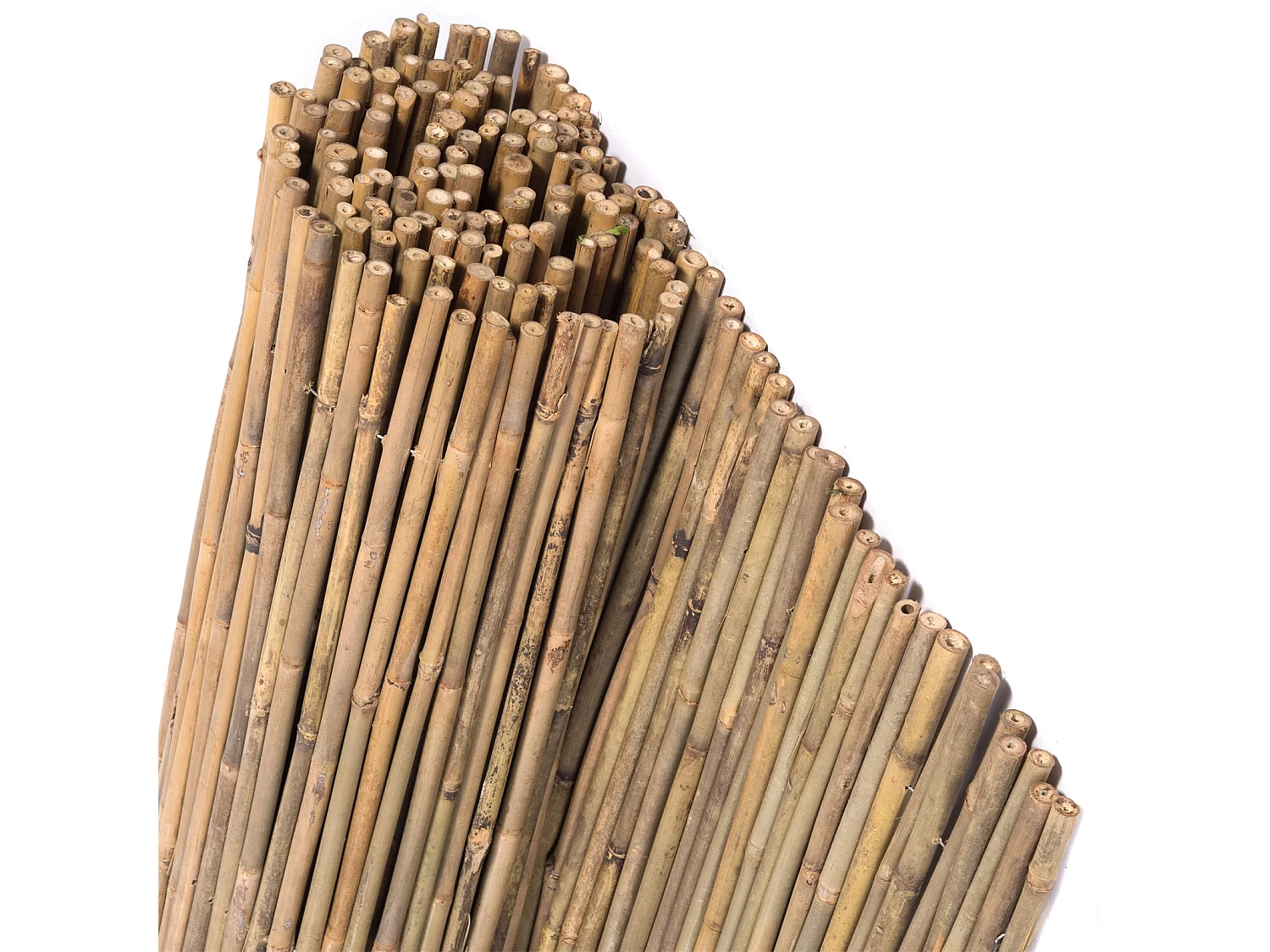 BRISE-VUE Lukata Bambou couleurs naturelles