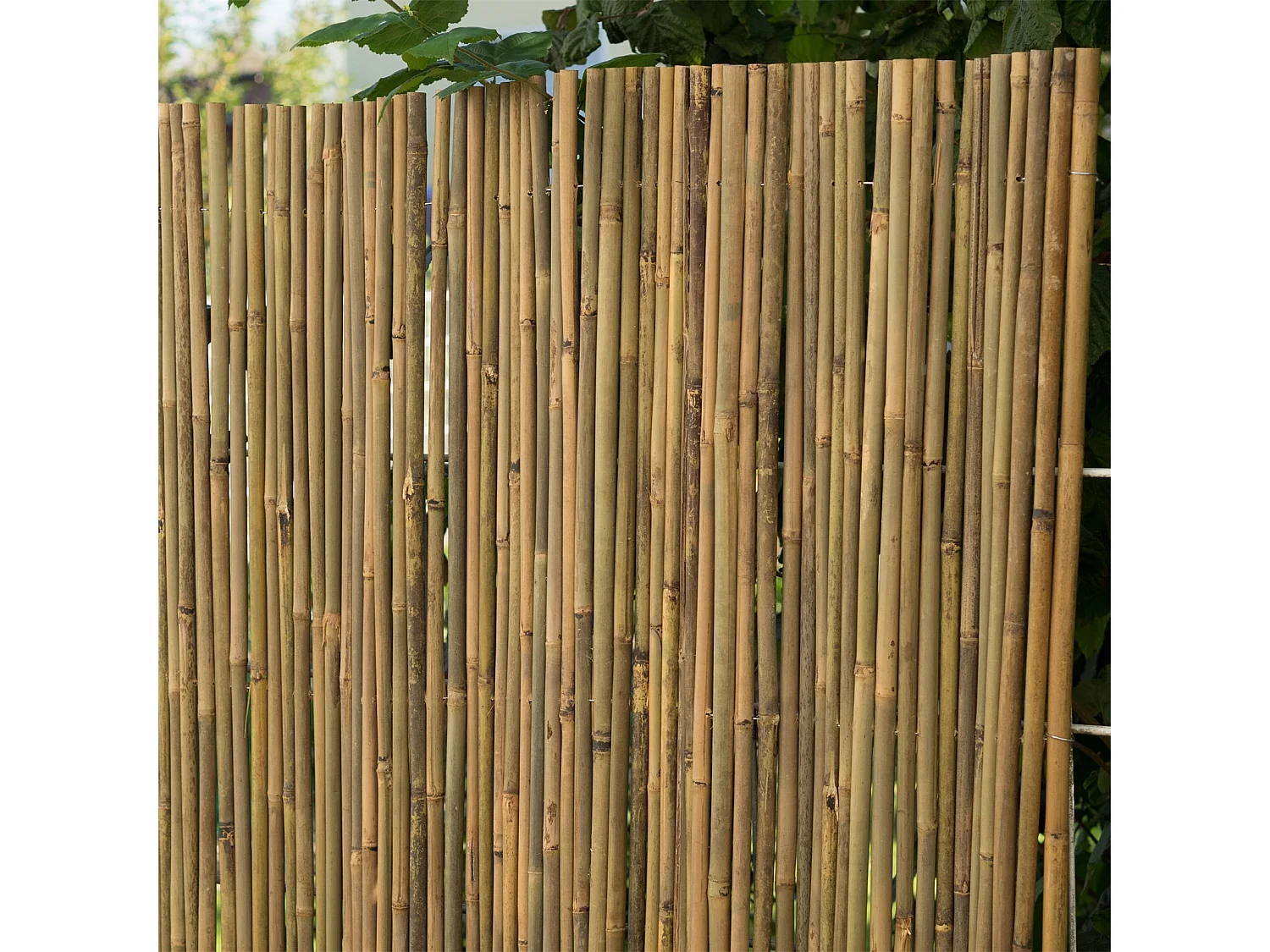 BRISE-VUE Lukata Bambou couleurs naturelles