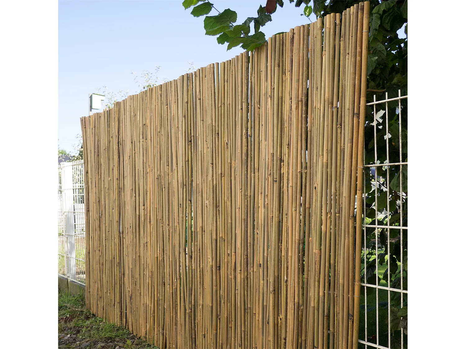 BRISE-VUE Lukata Bambou couleurs naturelles