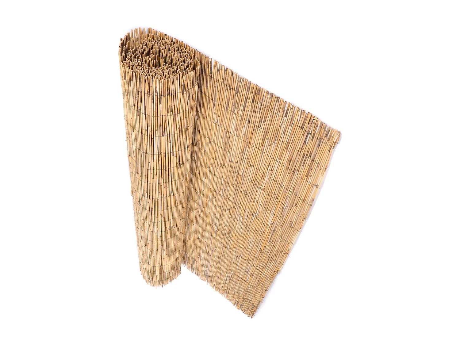 BRISE-VUE Aroa 60x160 cm, roseau couleurs naturelles