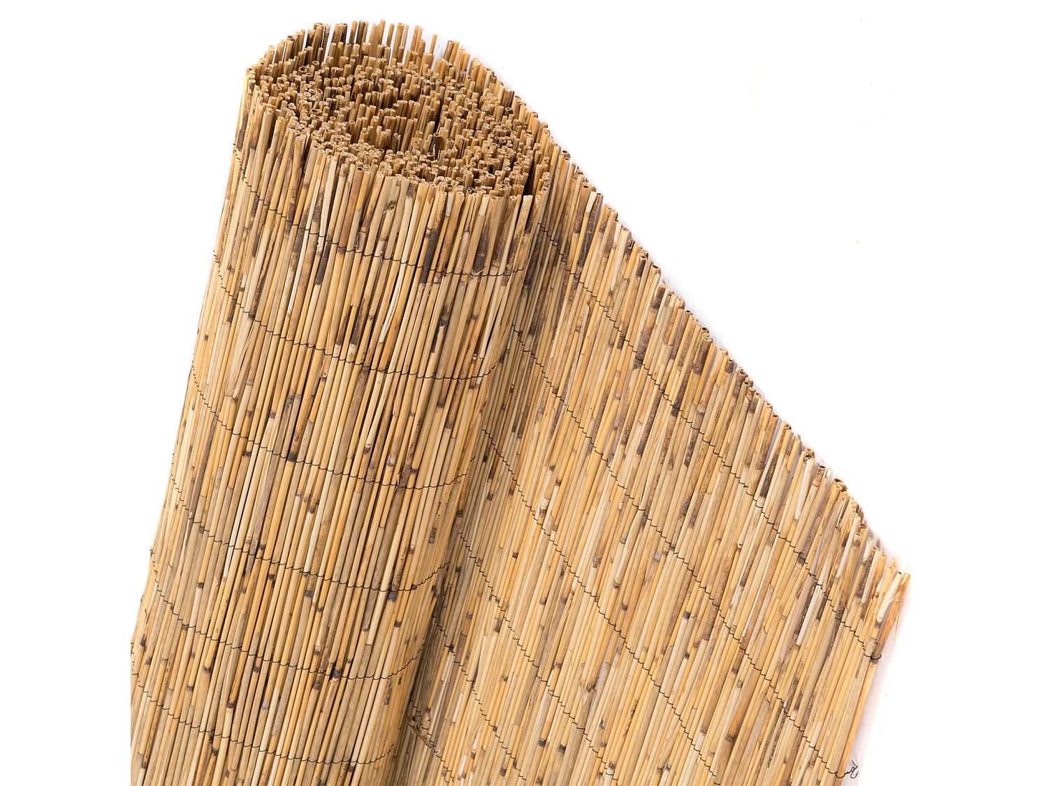 BRISE-VUE Aroa 60x160 cm, roseau couleurs naturelles