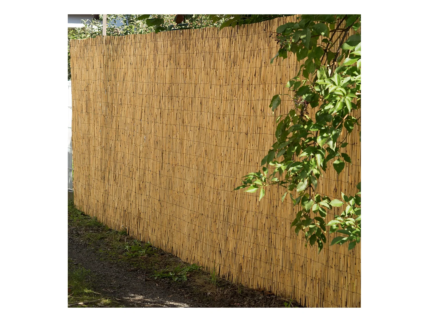 BRISE-VUE Aroa 60x160 cm, roseau couleurs naturelles