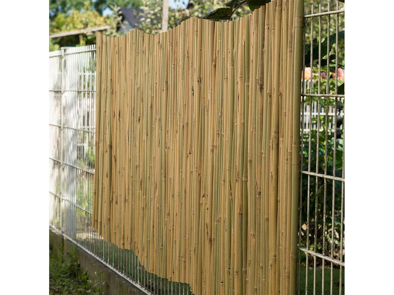 BRISE-VUE Lukata Bambou couleurs naturelles
