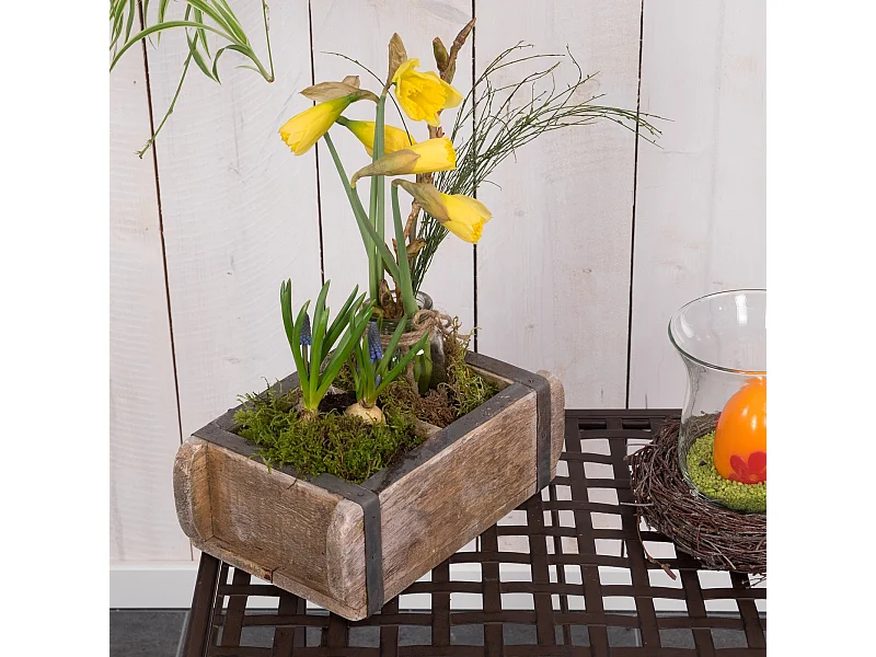 HOLZKISTE Brick Massivholz, Ziegelform