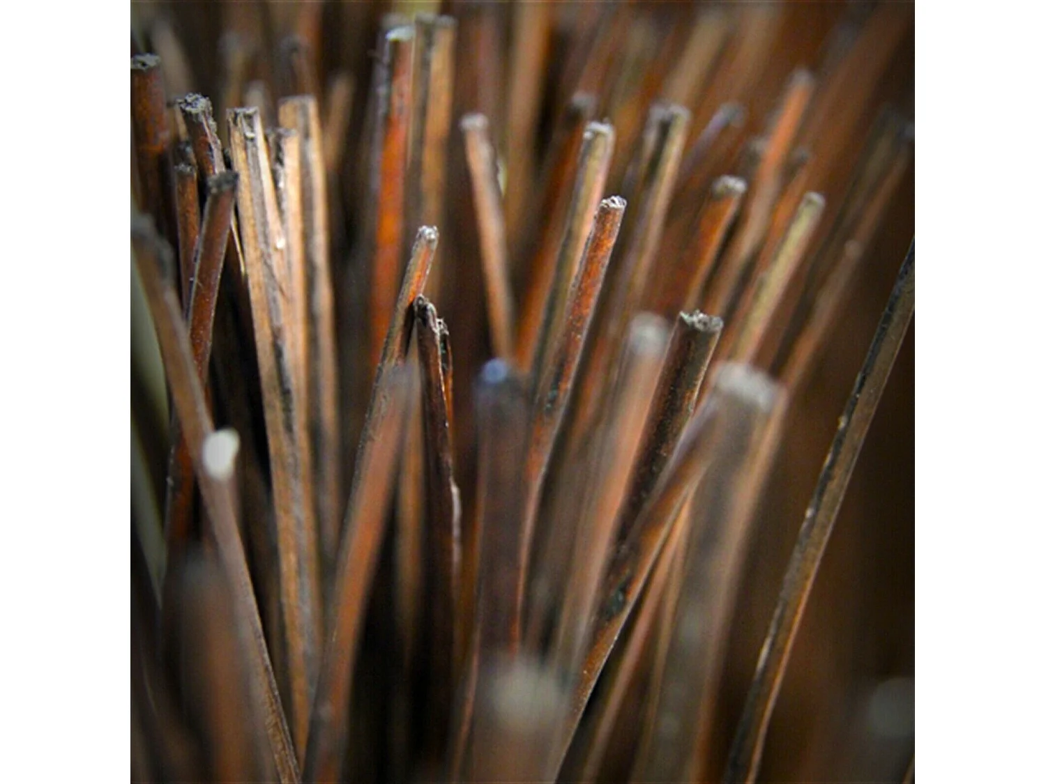 PARAVENT Nature Saule marron