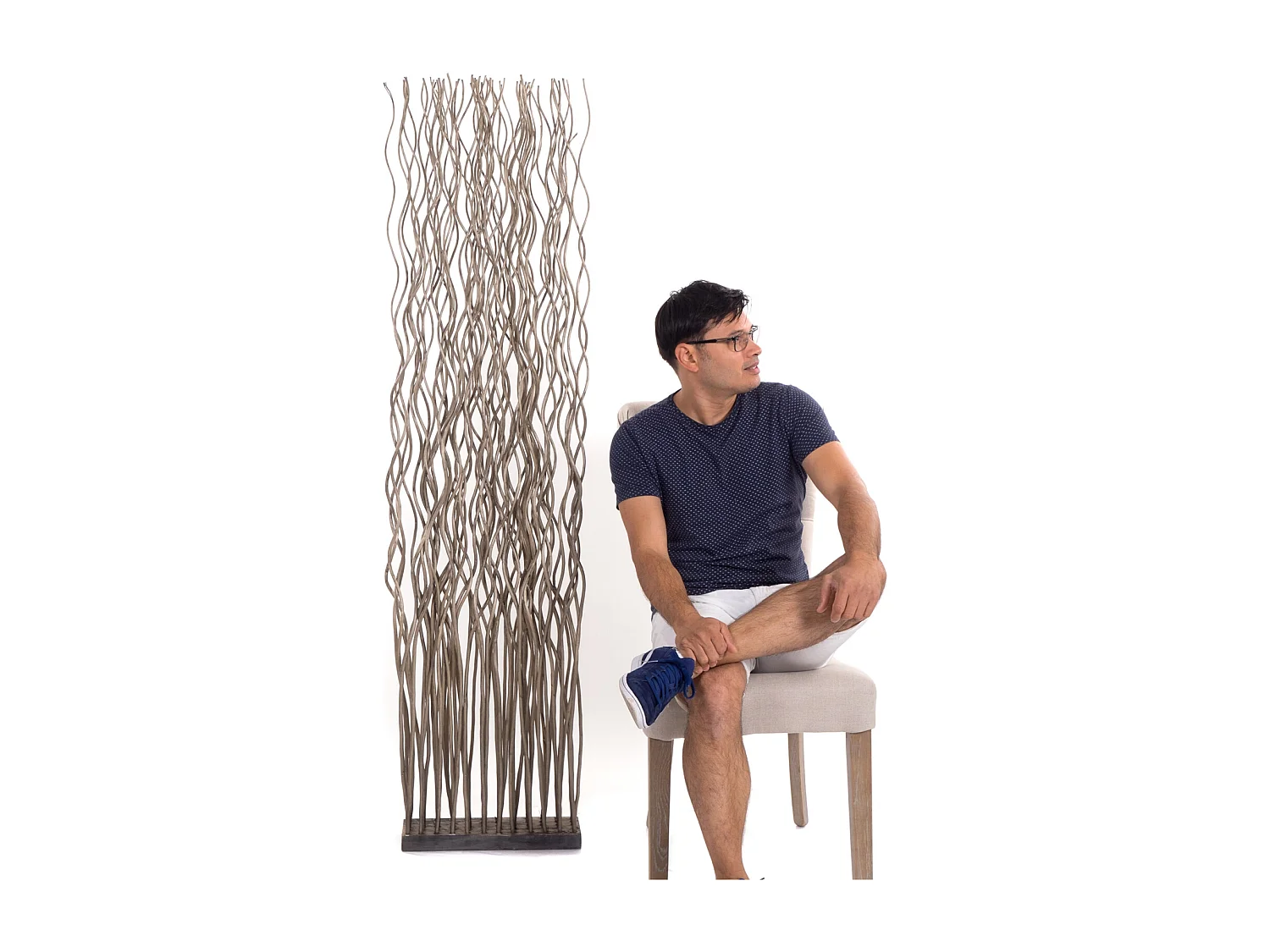 PARAVENT VAGUE Branches de saule grau