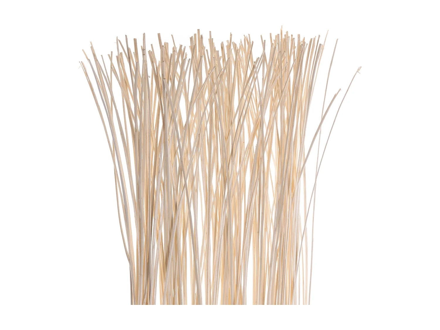 RAUMTEILER Slim 170x40 cm, Weidenholz-Zweige geblichen