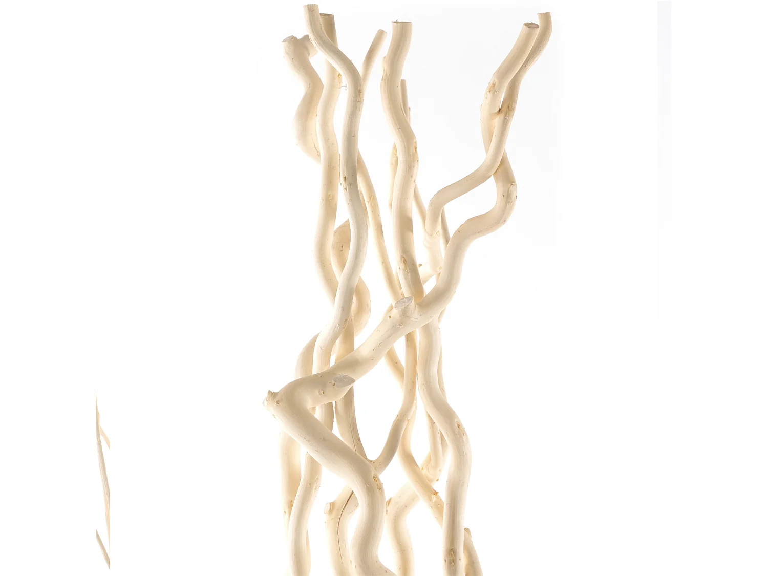 PARAVENT Nova Branches de saule geblichen