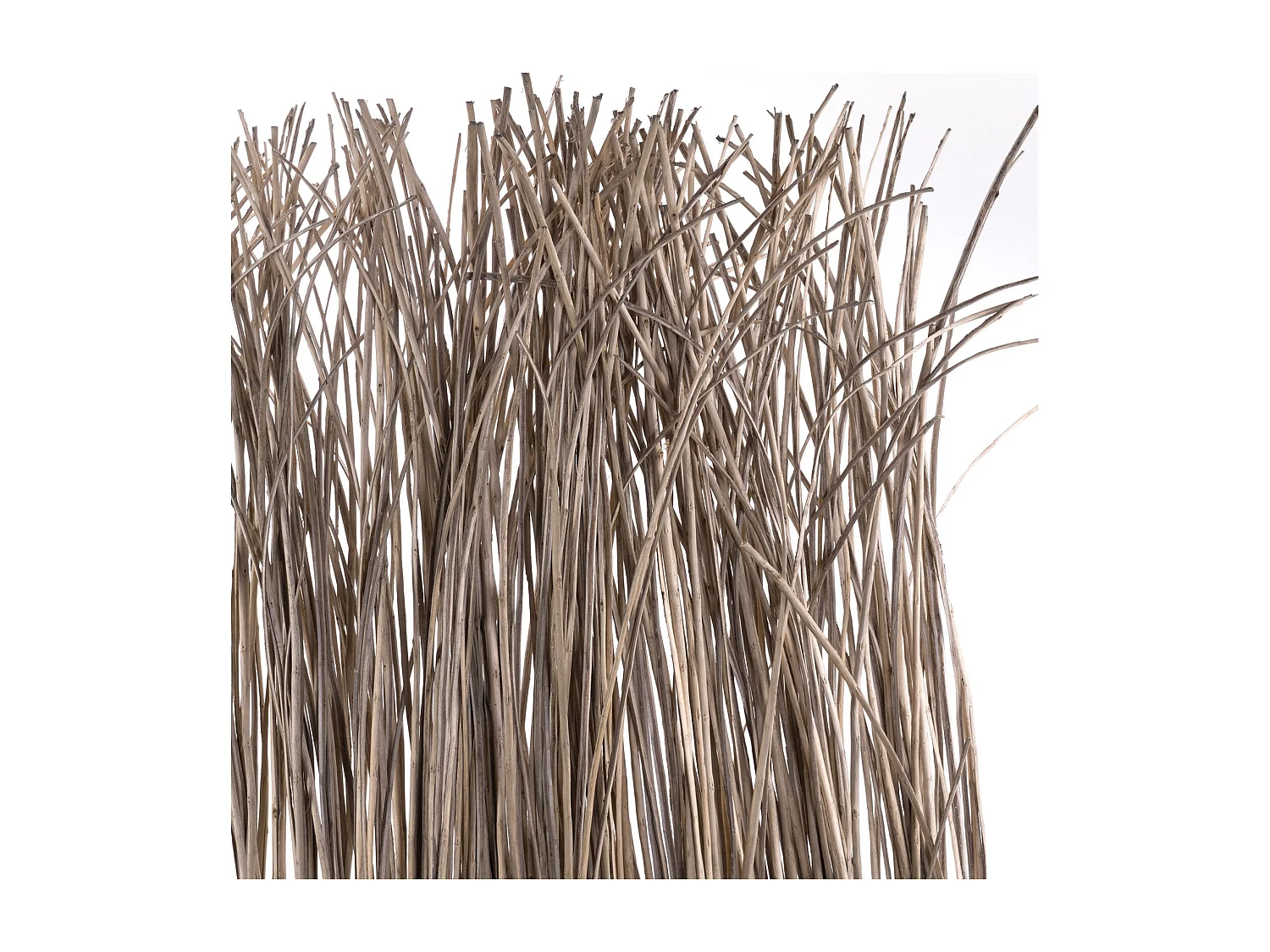 PARAVENT Nature 3-tlg. Weidenzweige grau