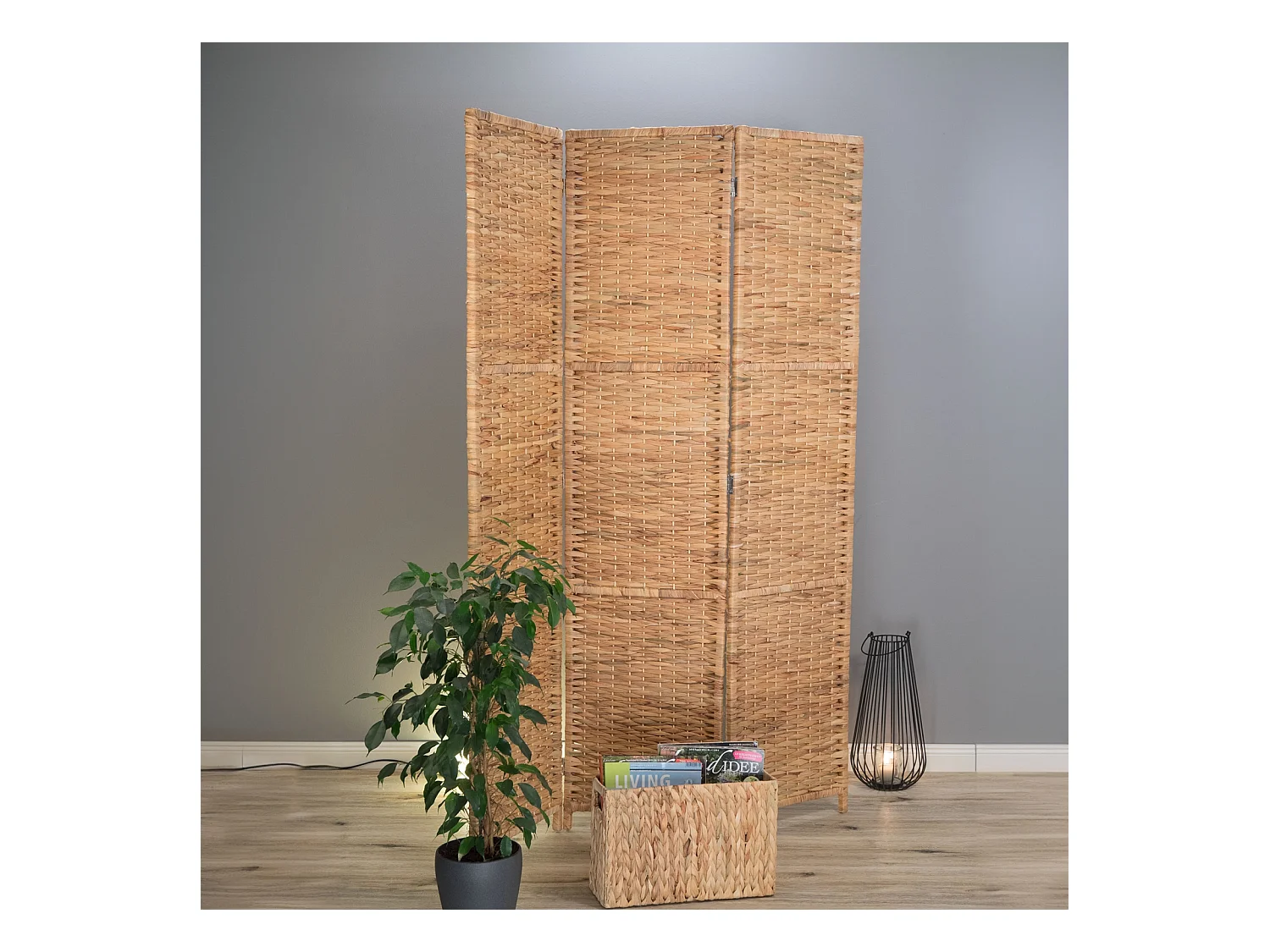 RAUMTEILER Marlon 3-tlg. 166x121 cm, Wasserhyazinthe, klappbar naturfarben