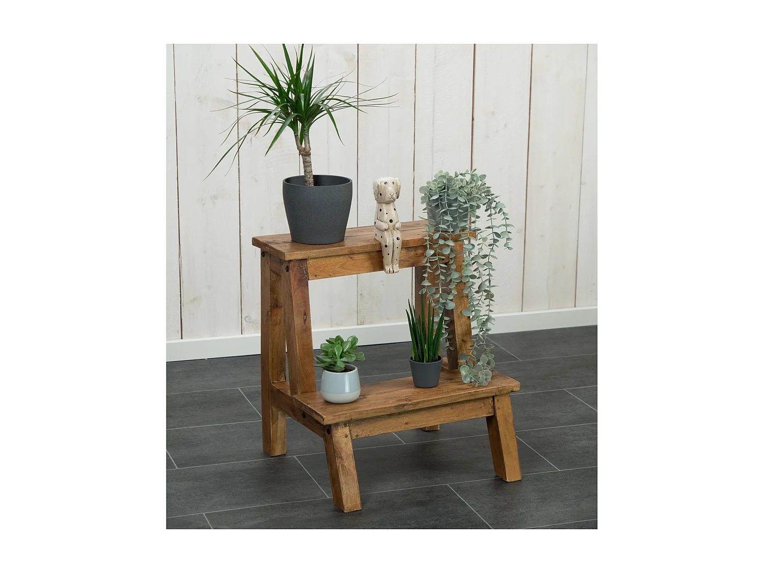 ÉCHELLE À PLANTES Ficus Bois massif de mahogany, 2 niveaux couleurs naturelles