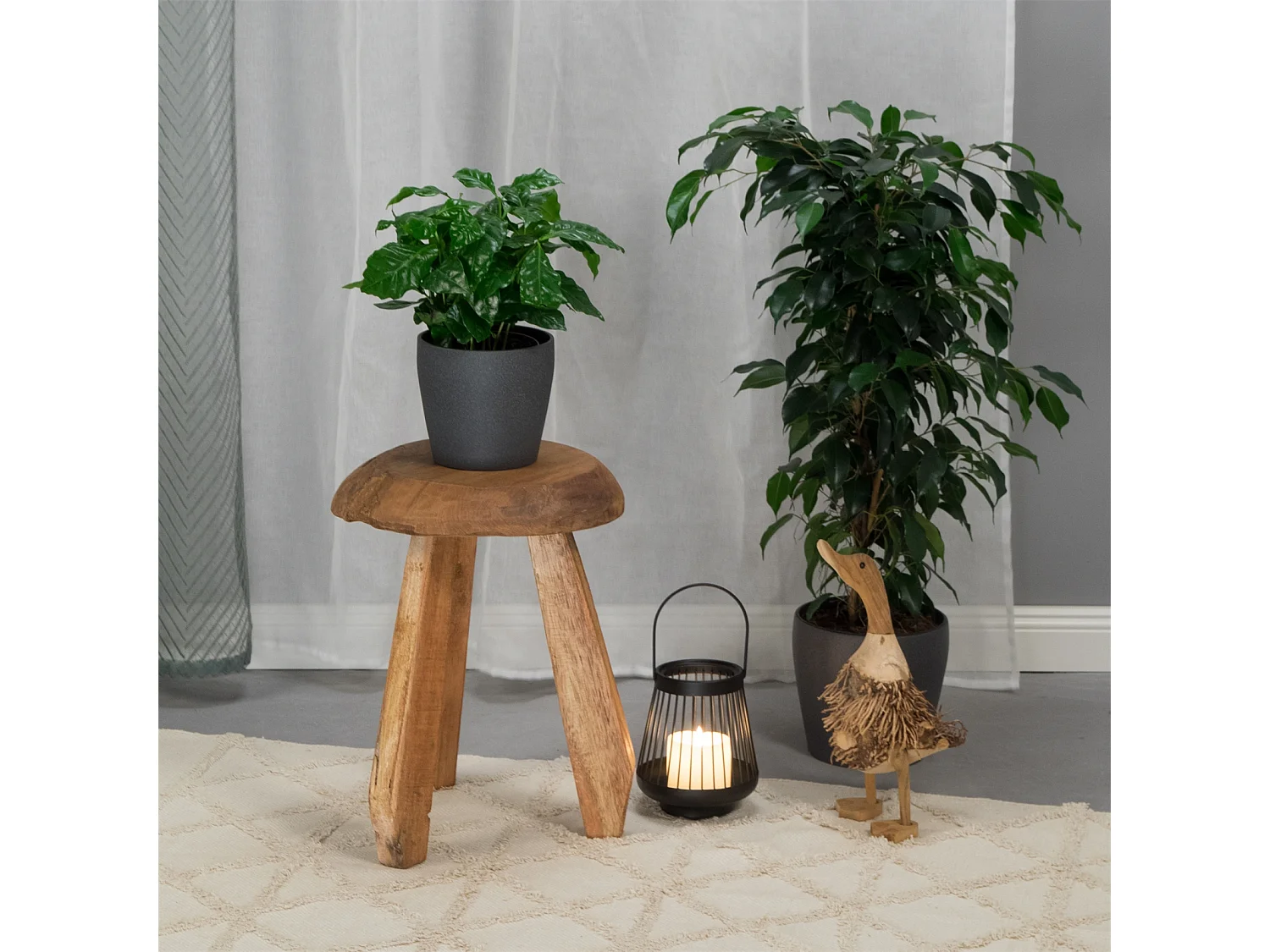 HOCKER Heidi Mahagoni Massivholz, rund naturfarben