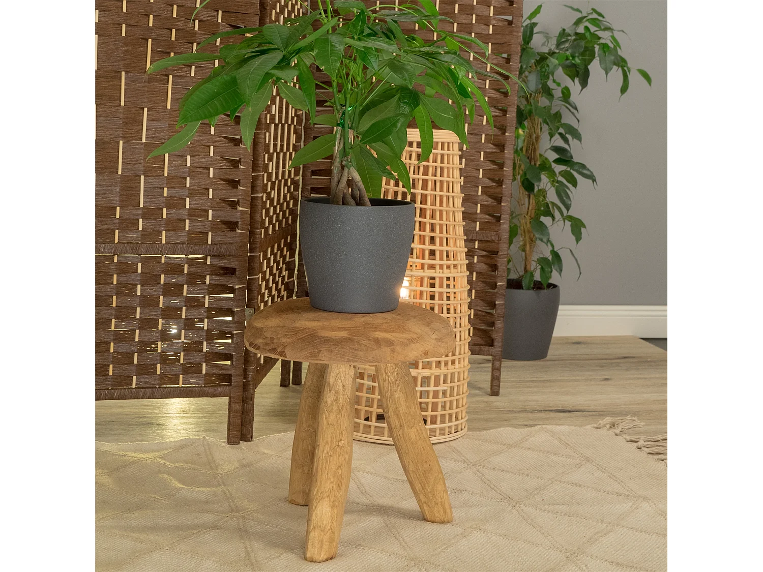 TABOURET Klara Bois massif d'acajou, rond couleurs naturelles