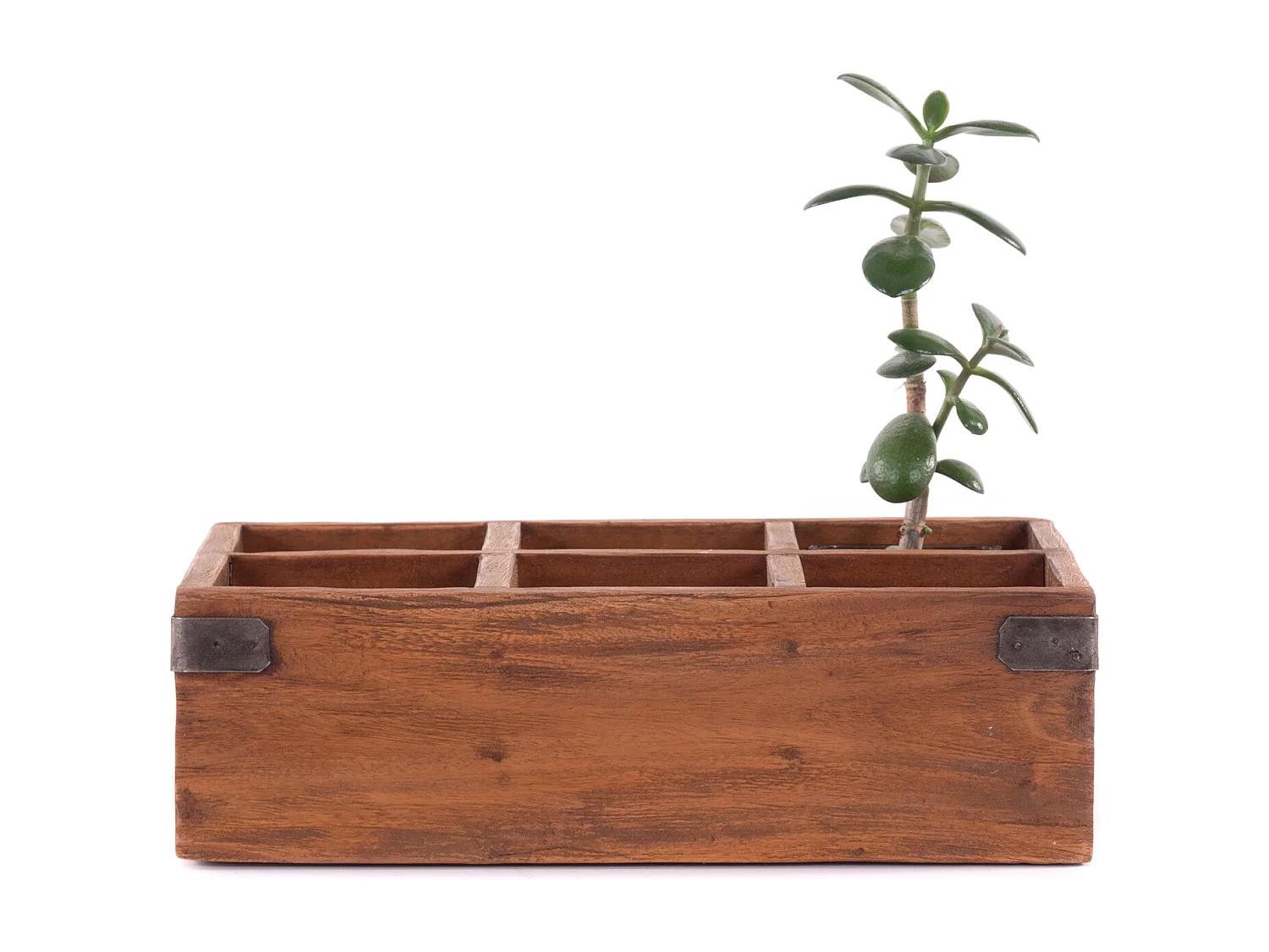 ORGANIZER Ordina Mahagoni Massivholz, 6 Fächer naturfarben