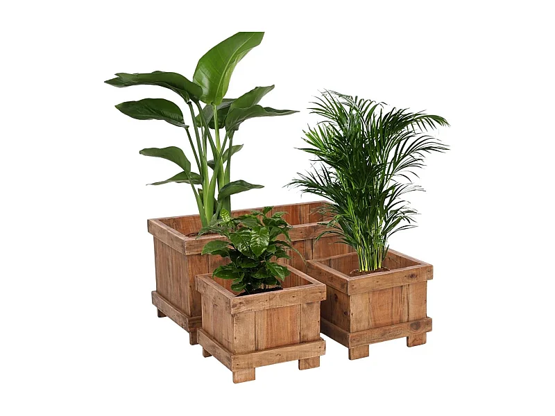 ÜBERTOPF-SET Malva 3-tlg. Massivholz, verschiedene Größen naturfarben