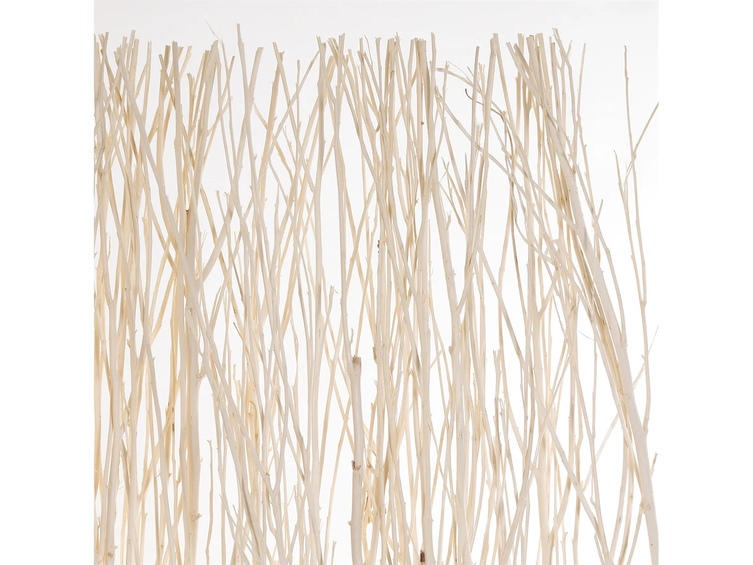 PARAVENT Nature 3 pièces. Saule jaunâtre