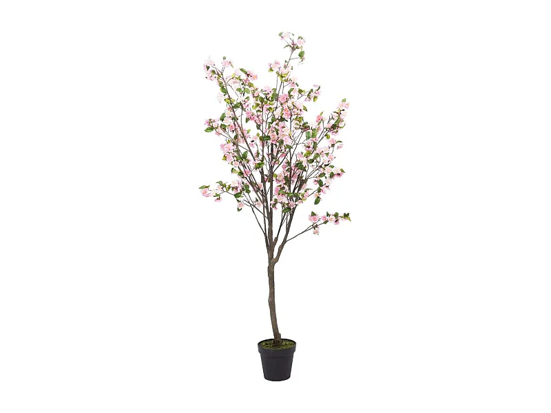 Cerisier Superba 200 cm rose