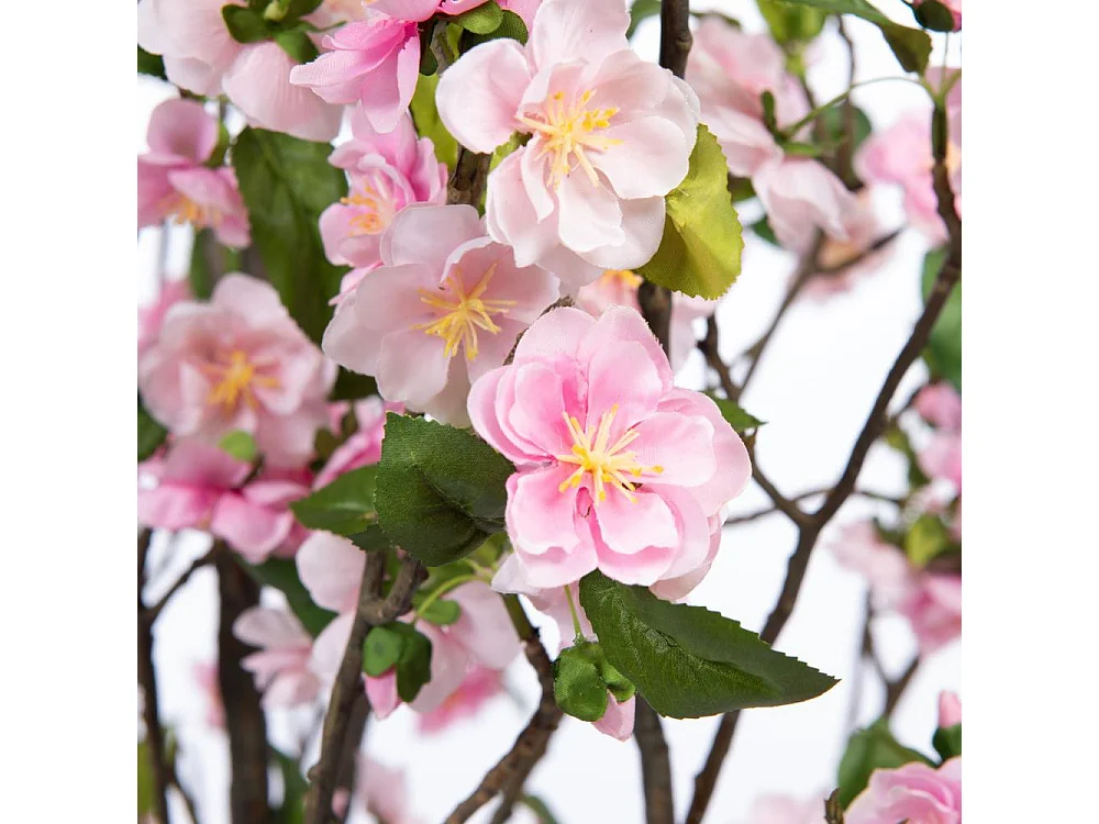 Cerisier Superba 200 cm rose