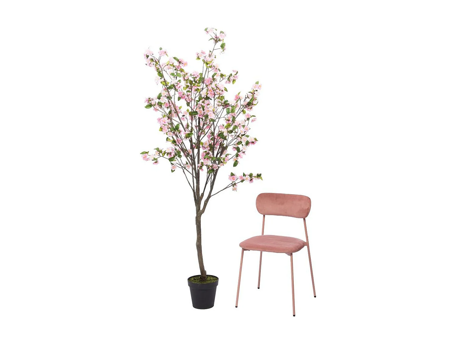 Cerisier Superba 200 cm rose
