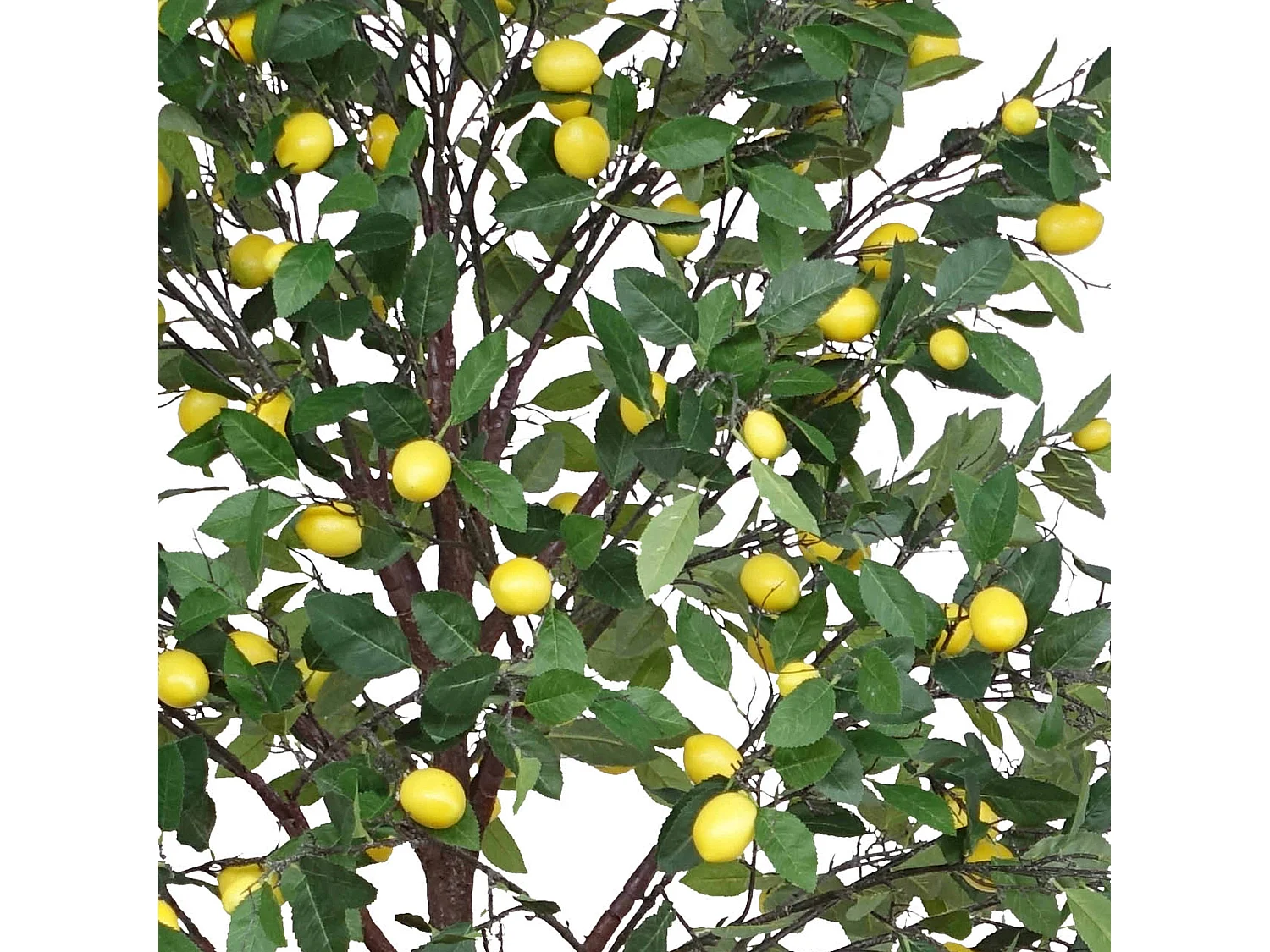 Citronnier artificiel 2 m