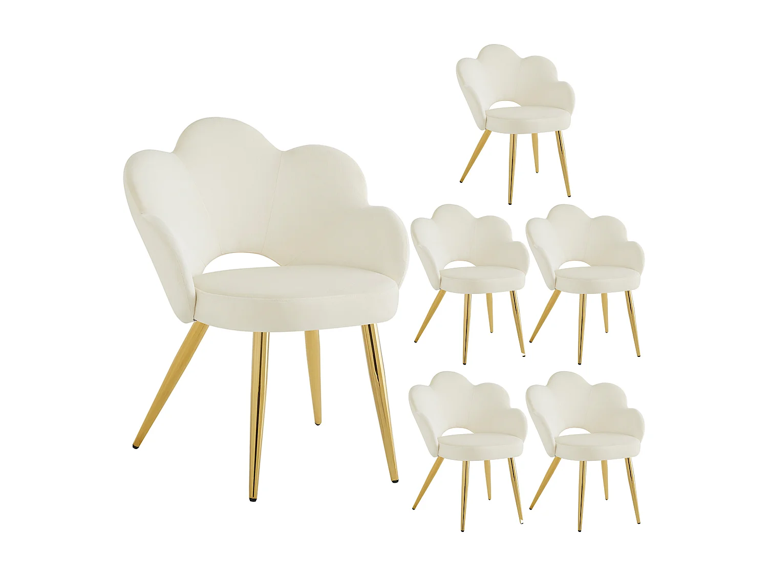 6er-Set Esszimmerstühle - 50 x 46,5 x 85 cm - Samt und verzinkte Eisenbeine in Gold - Blumenmuster - Beige