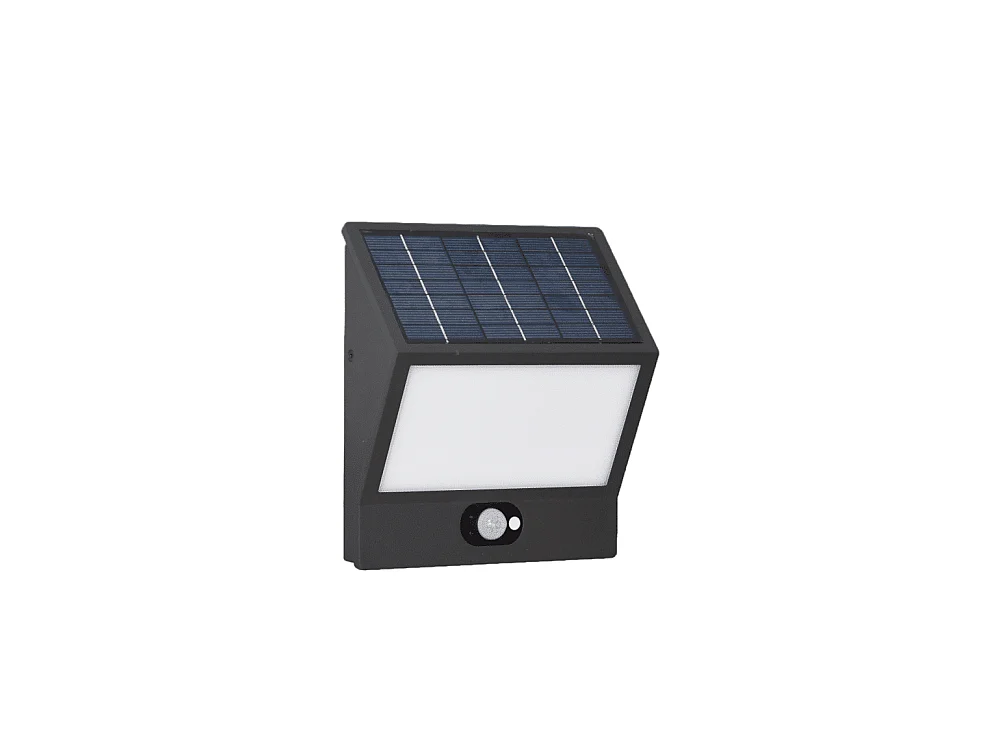 EGNA Spot à énergie solaire noir 4000K Luminaire extérieur Beneito Faure