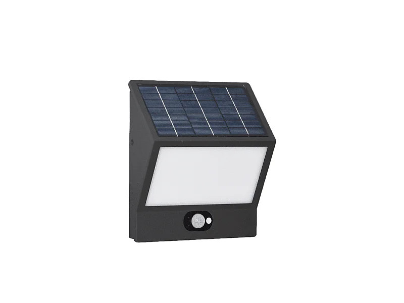 EGNA Spot à énergie solaire noir 4000K Luminaire extérieur Beneito Faure