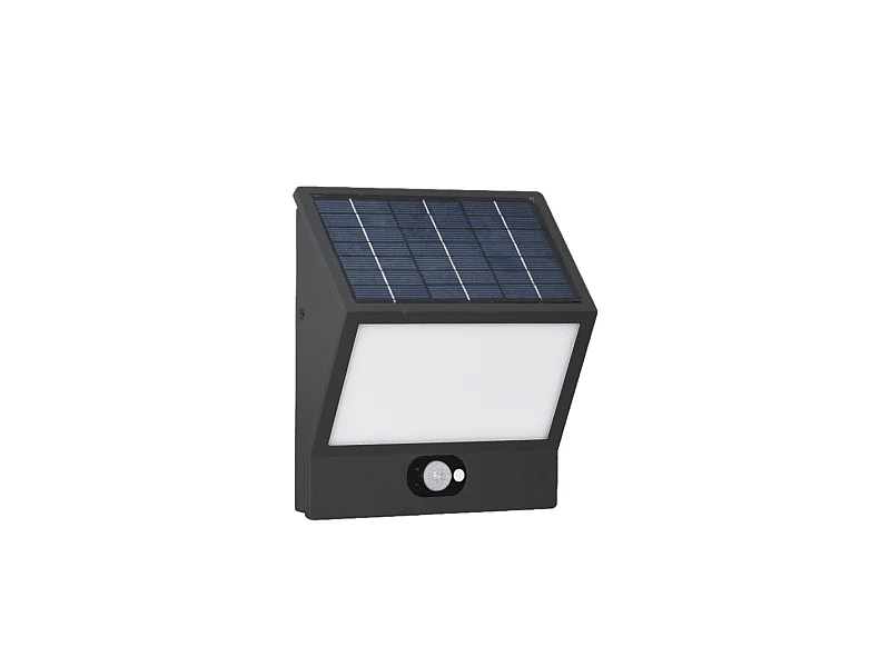 EGNA Spot à énergie solaire noir 4000K Luminaire extérieur Beneito Faure