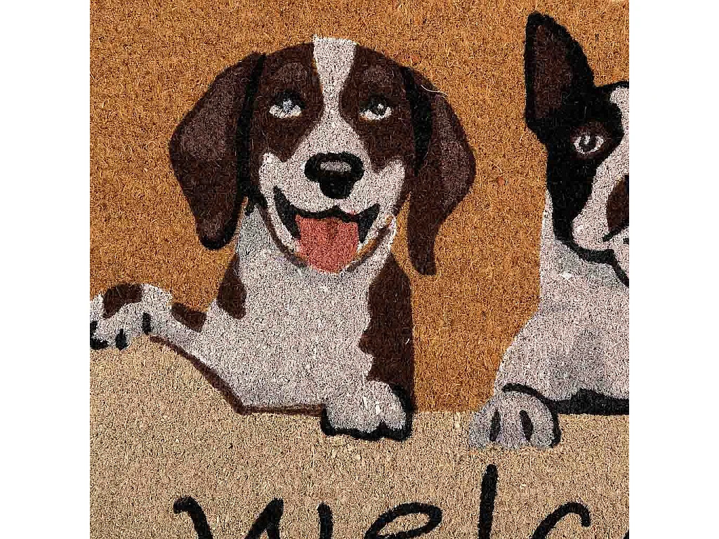 Tapis d'entrée en PVC imprimé marron 45x75