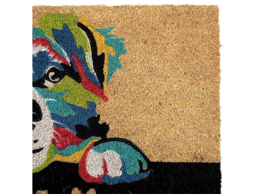 Tapis d'entrée en PVC imprimé blanc 45x75