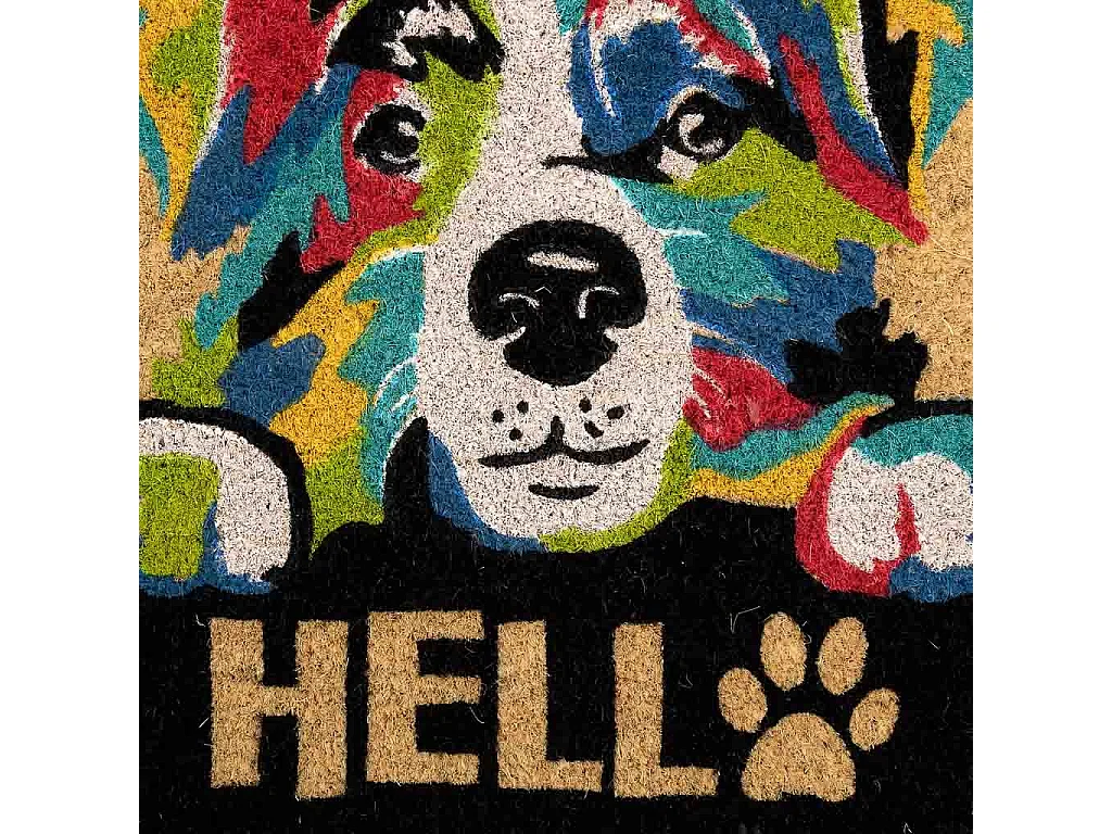 Fußmatte aus bedrucktem PVC in Weiß 45x75