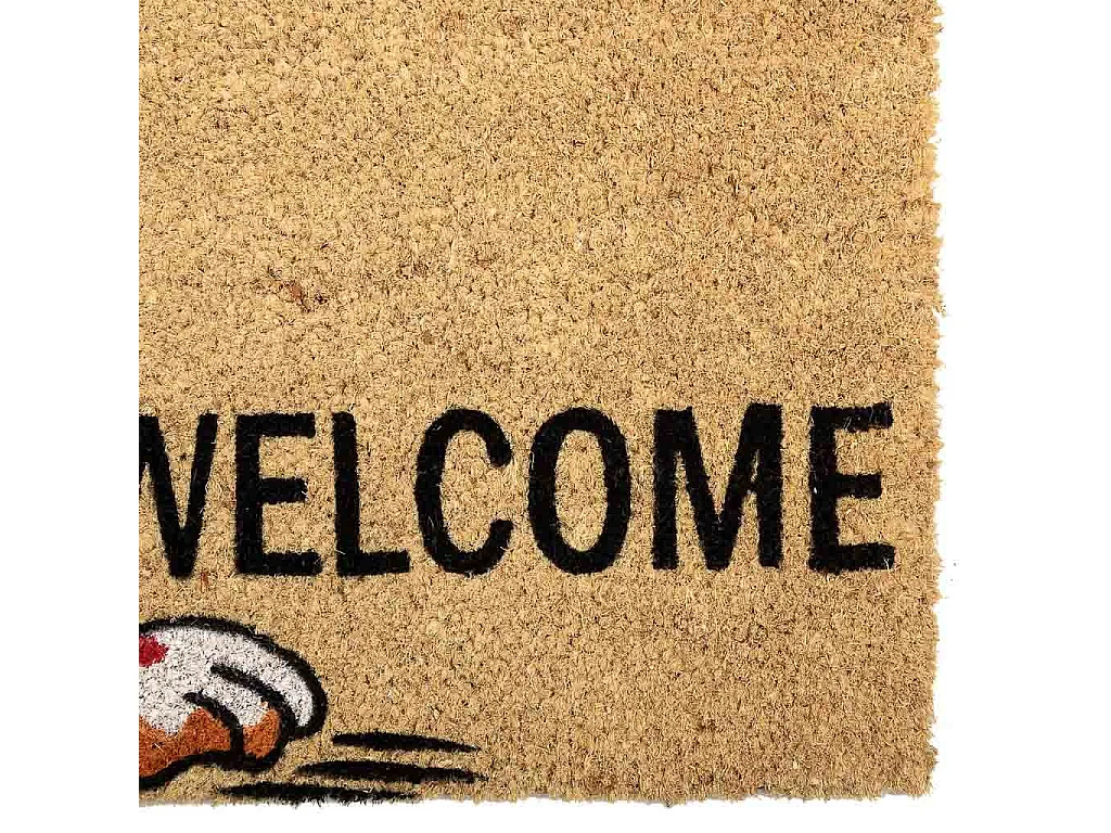 Tapis d'entrée en PVC imprimé blanc 45x75