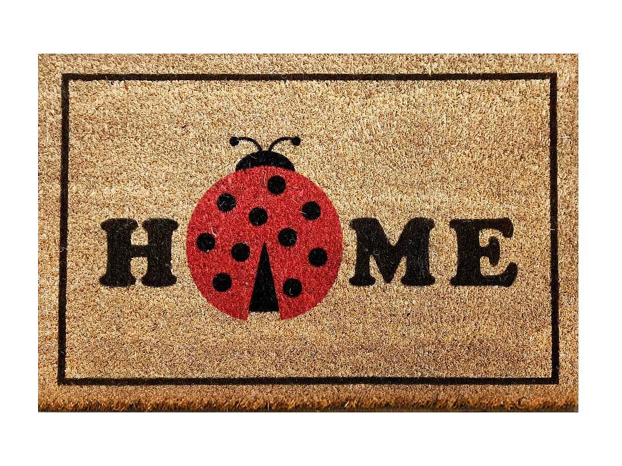 Paillasson en fibres de coco Remove Coccinelle