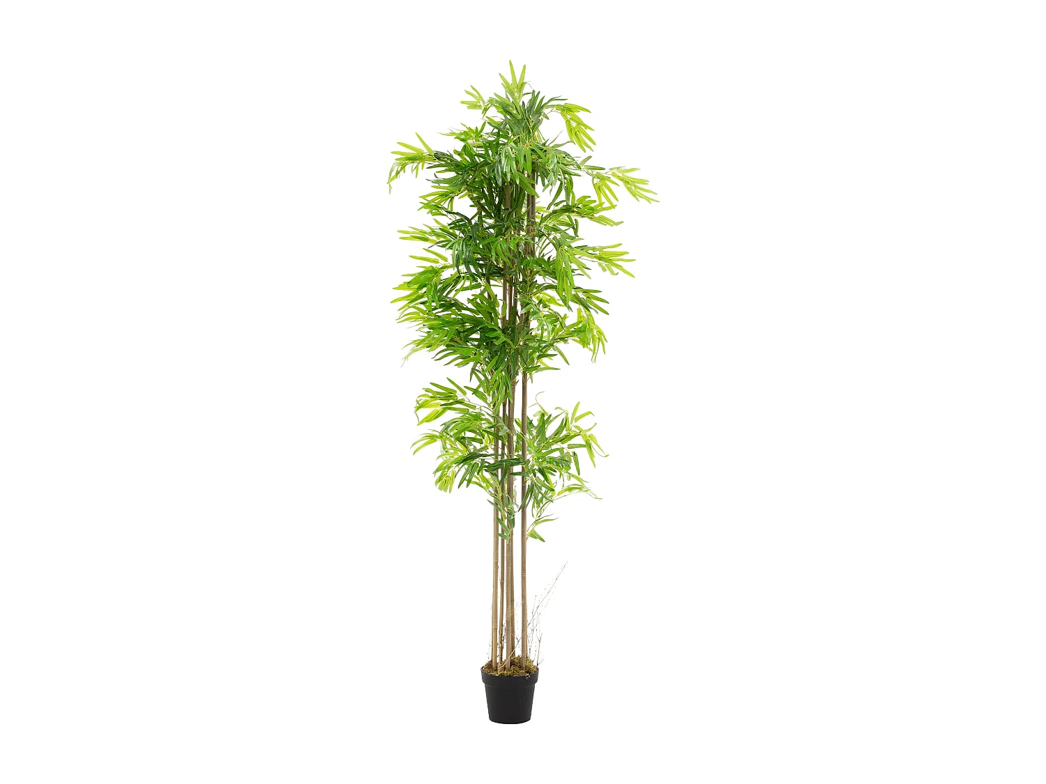 Bambou artificiel 210 cm, Plante artificielle grande, Plante artificielle avec tige en bois véritable