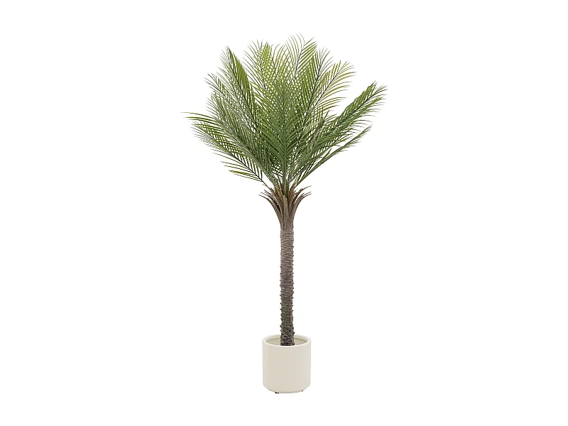 ML-Design Palma artificiale 150 cm, grande pianta artificiale, palma tropicale artificiale, pianta artificiale, pianta finta Deko