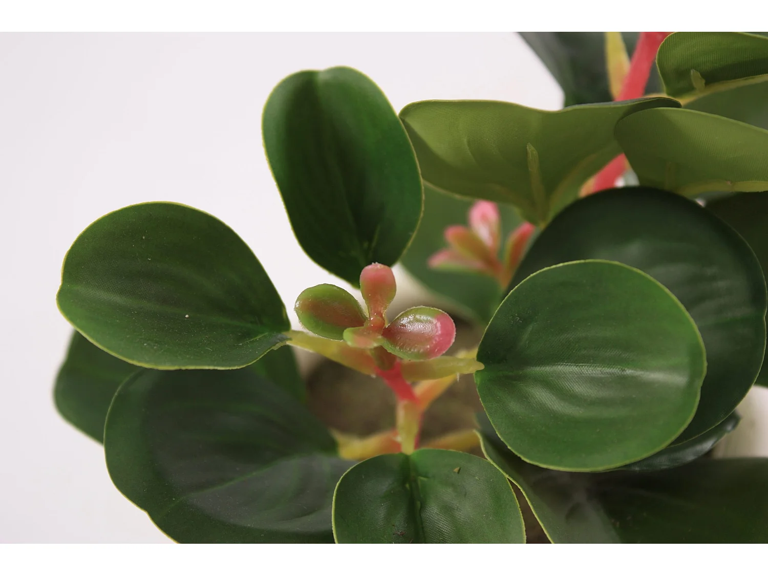 Pianta succulenta artificiale in vaso