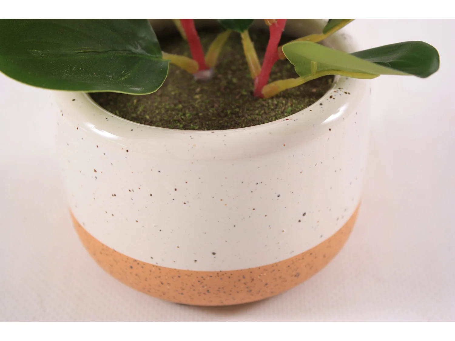 Pianta succulenta artificiale in vaso