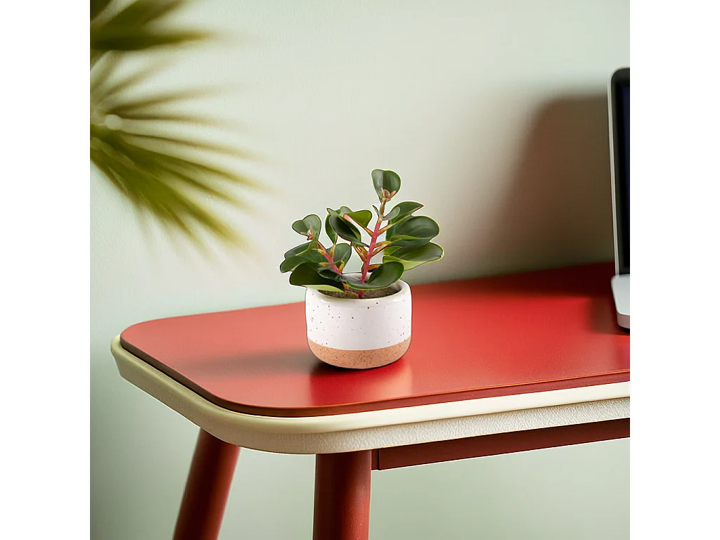 Pianta succulenta artificiale in vaso