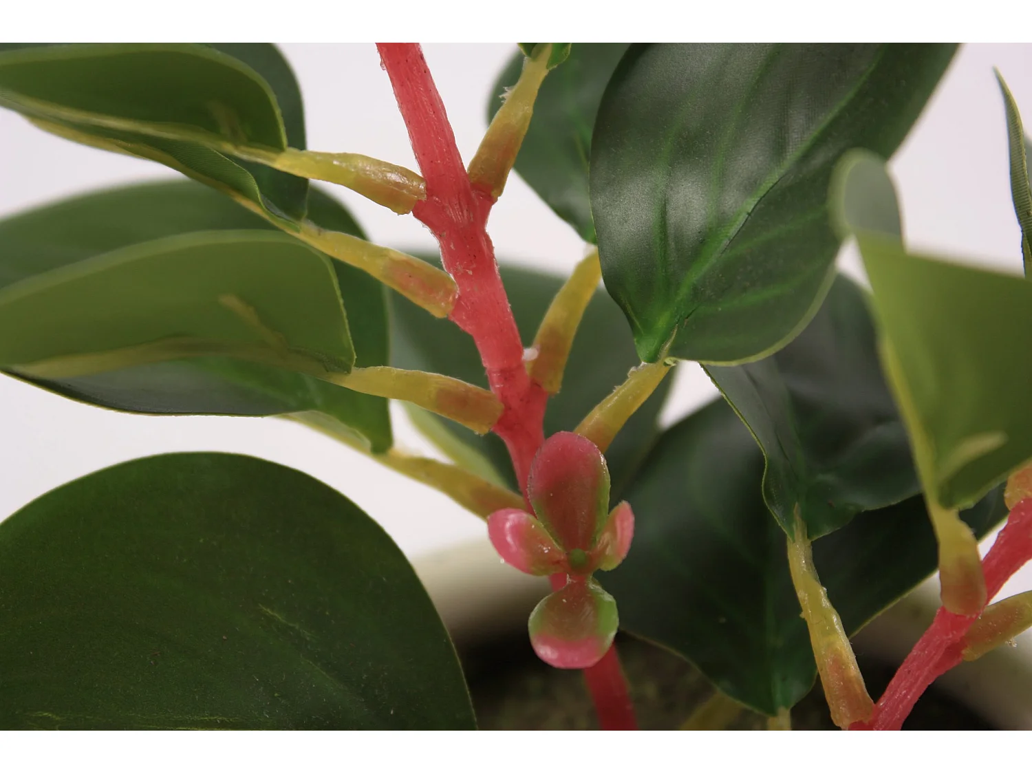 Pianta succulenta artificiale in vaso