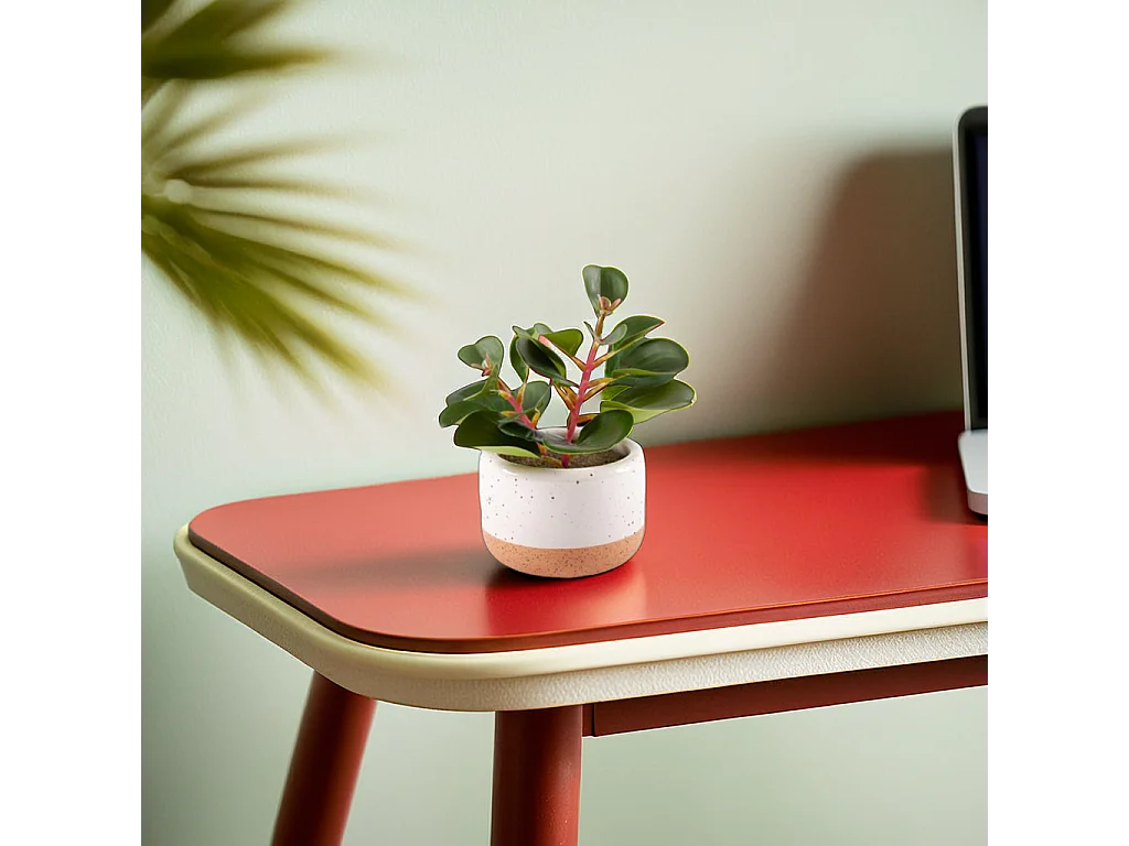 Pianta succulenta artificiale in vaso